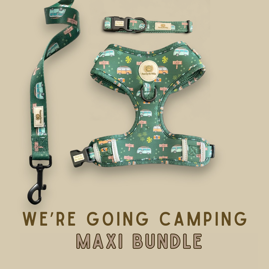 We're Going Camping Maxi Bundle