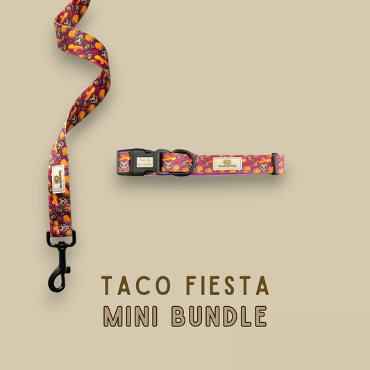 Taco Fiesta Mini Bundle