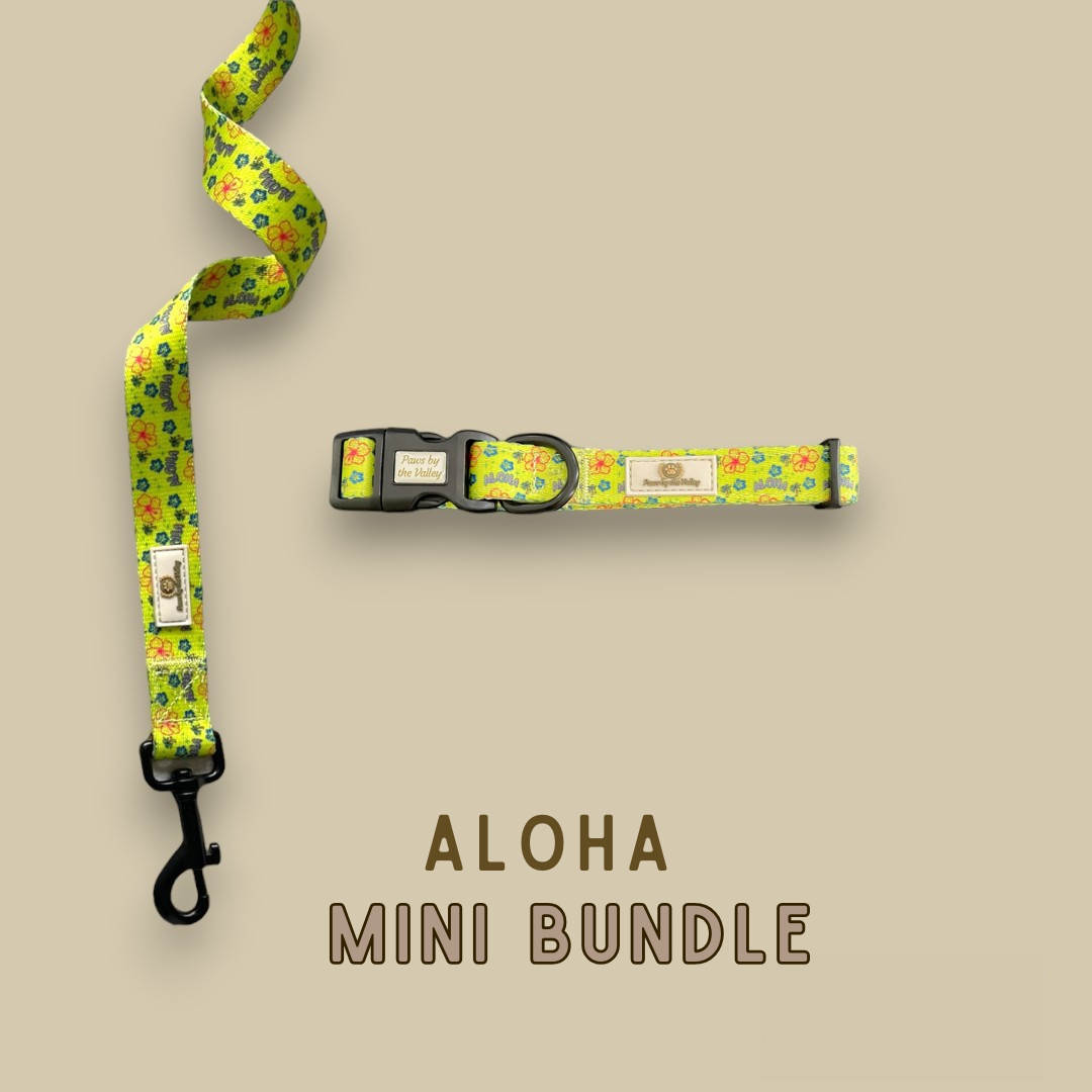 Aloha Mini Bundle
