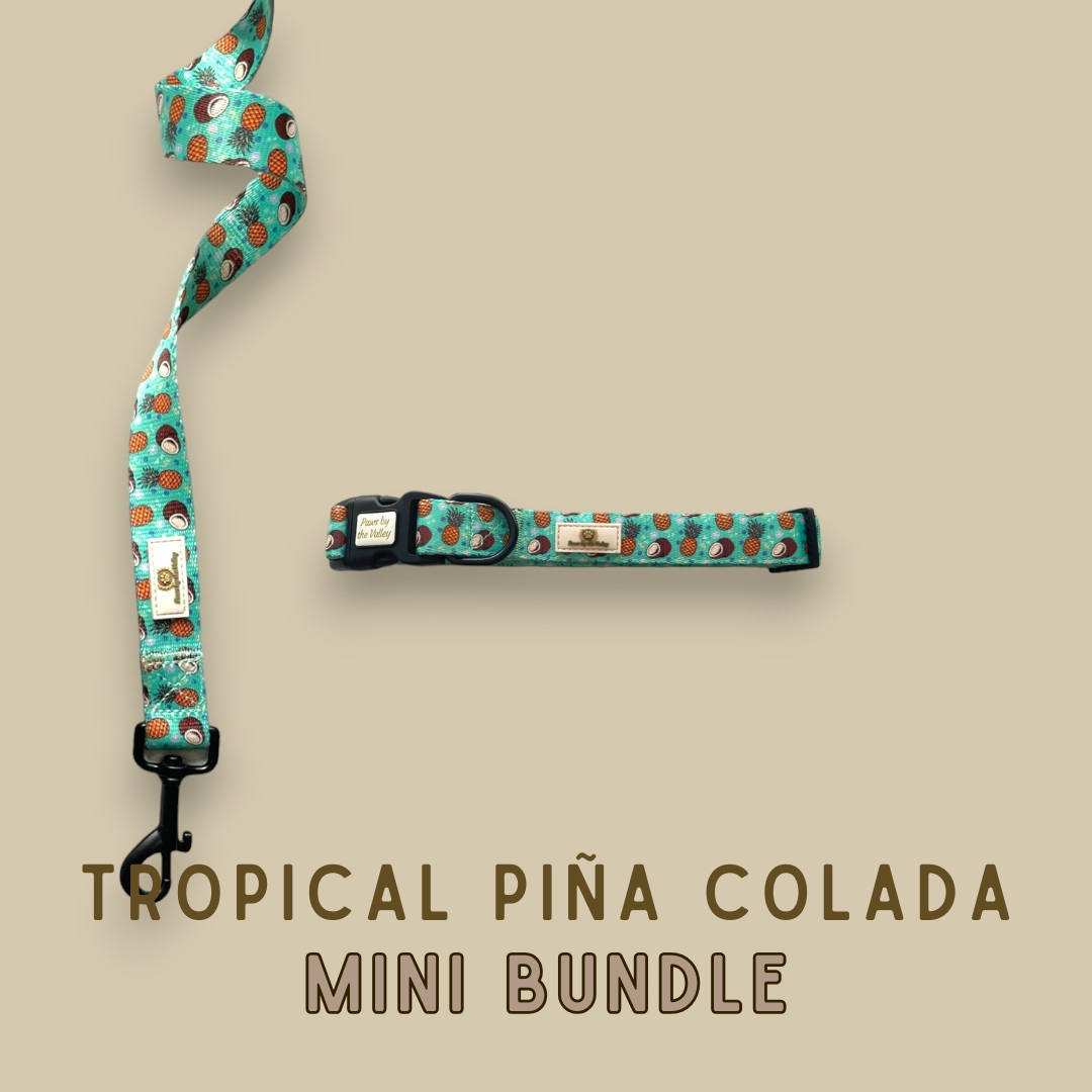 Mini paquete de piña colada tropical