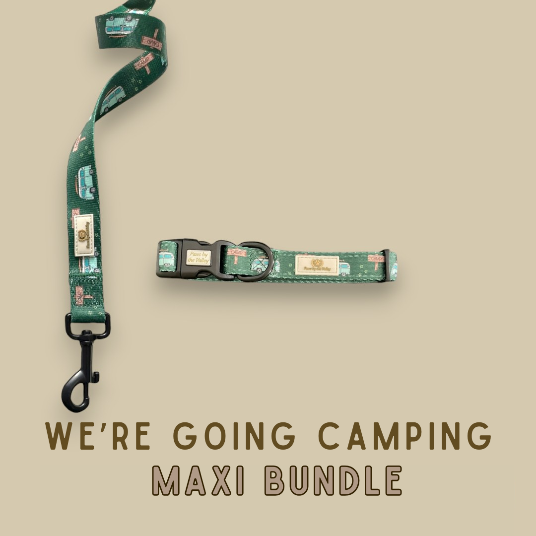 Mini paquete "Vamos a acampar"