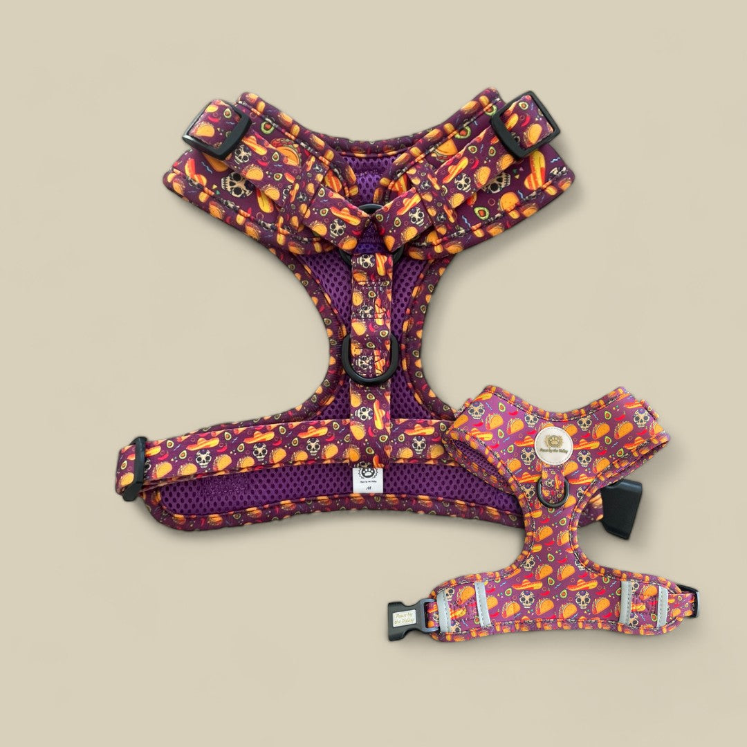 Taco Fiesta Adjustable Harness