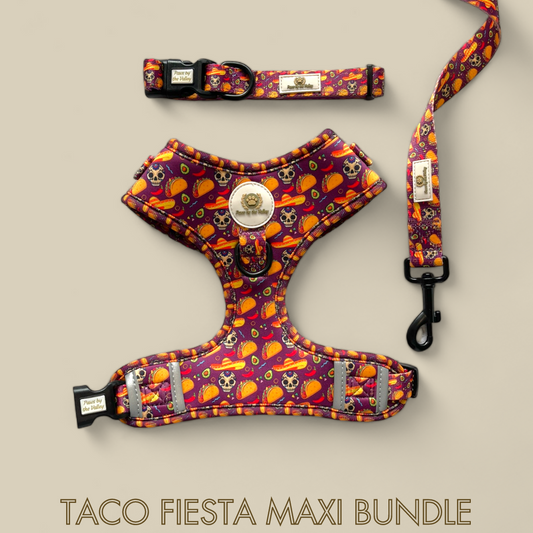 Taco Fiesta Maxi Bundle