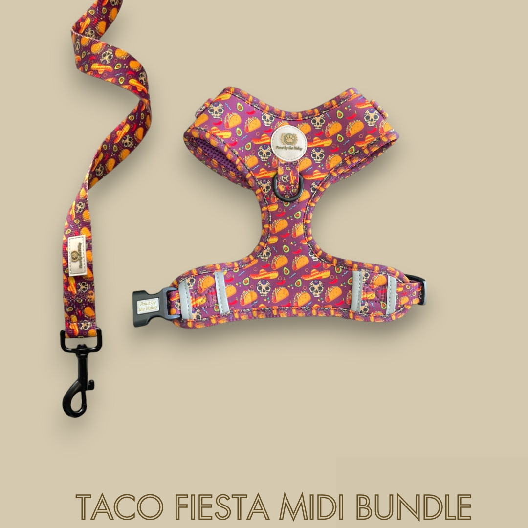 Taco Fiesta Midi Bundle