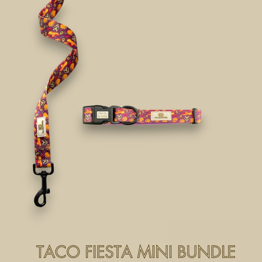 Taco Fiesta Mini Bundle