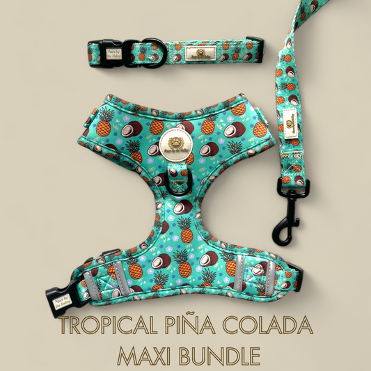 Tropical Piña Colada Maxi Bundle