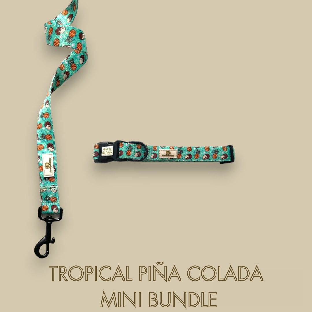 Tropical Piña Colada Mini Bundle