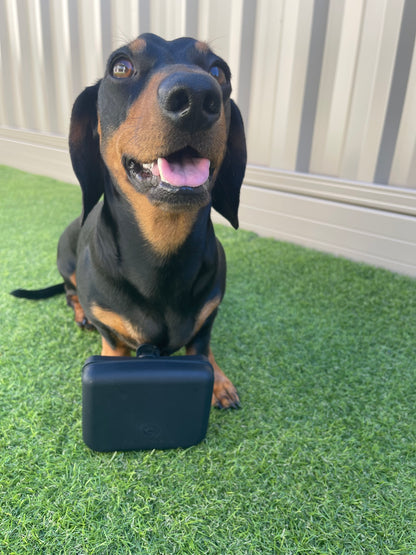 Deluxe: The Silicone Treat Pouch