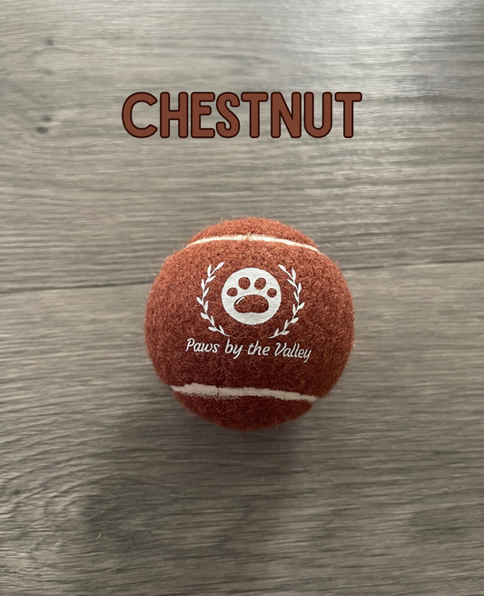 Dog Tennis Ball - Chestnut Brown