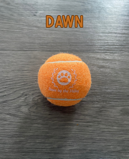 Dog Tennis Ball - Dawn (Orange)